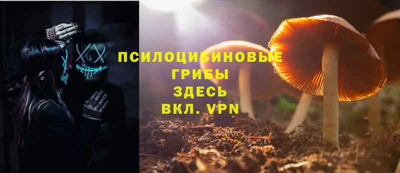 Псилоцибиновые грибы Magic Shrooms  наркота  Белинский 